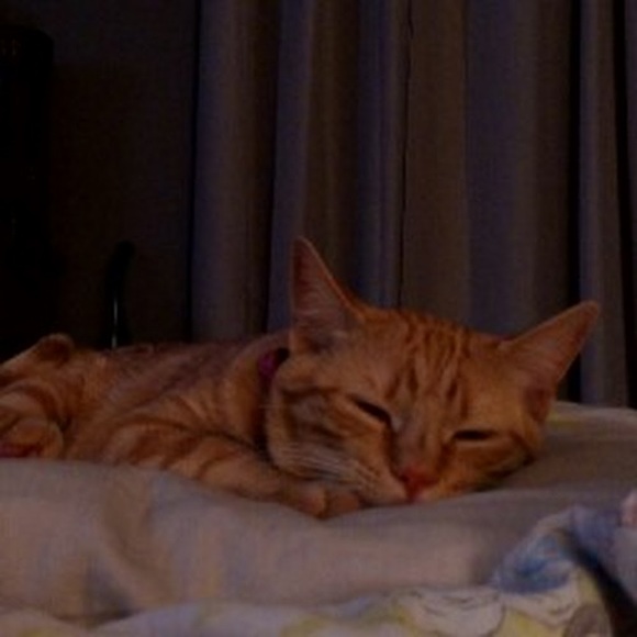 Meet your Posher, Leigh - Picture 1 of 1